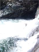 Tellico 15